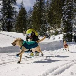 Top 10 🥰 Ruffwear 🦮 Dog 🧥 Coats, Packs & PFDs Vert Jacket 👏 -Dog Packs & Accessories Sales AURTEA D10