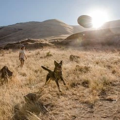 Cheapest ❤️ Ruffwear 🐶 Dog Toys & Accessories Hover Craft 🐶 Dog Toy 😉 -Dog Packs & Accessories Sales AURTEA D7