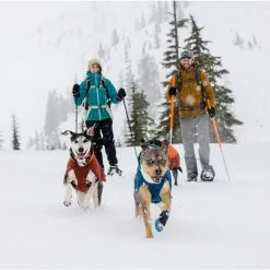 Top 10 🥰 Ruffwear 🦮 Dog 🧥 Coats, Packs & PFDs Vert Jacket 👏 -Dog Packs & Accessories Sales AURTEA D8 1