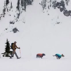 Top 10 🥰 Ruffwear 🦮 Dog 🧥 Coats, Packs & PFDs Vert Jacket 👏 -Dog Packs & Accessories Sales AURTEA D9