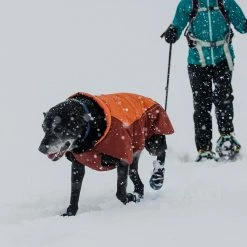 Top 10 🥰 Ruffwear 🦮 Dog 🧥 Coats, Packs & PFDs Vert Jacket 👏 -Dog Packs & Accessories Sales CANORA D11