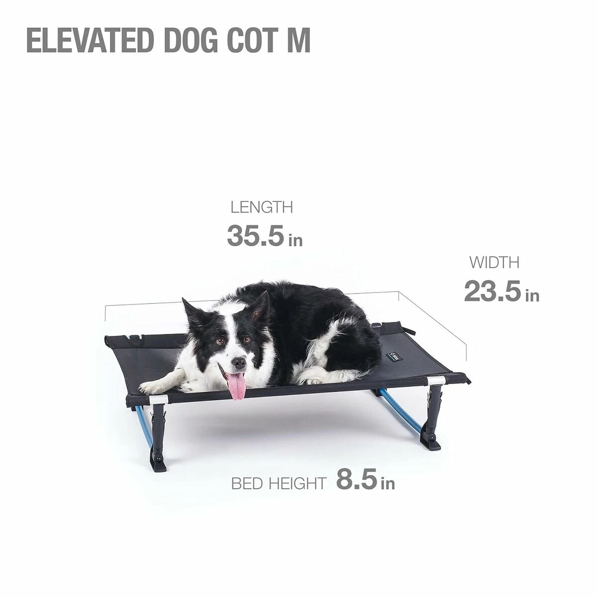 Best reviews of โ Helinox ๐ถ Dog Beds Elevated ๐ถ Dog Cot ๐ 4 Best reviews of โ Helinox ๐ถ Dog Beds Elevated ๐ถ Dog Cot ๐ - Image 4