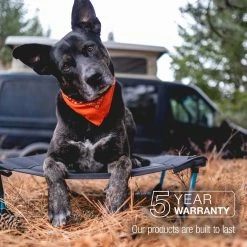 Best reviews of โ Helinox ๐ถ Dog Beds Elevated ๐ถ Dog Cot ๐ 17 Best reviews of โ Helinox ๐ถ Dog Beds Elevated ๐ถ Dog Cot ๐ -Dog Packs & Accessories Sales M D7