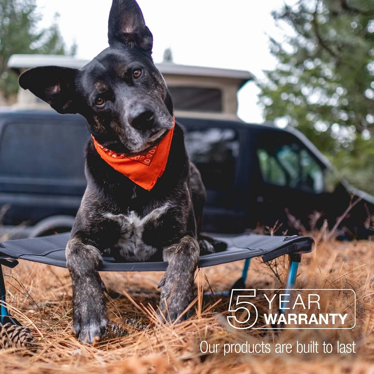 Best reviews of โ Helinox ๐ถ Dog Beds Elevated ๐ถ Dog Cot ๐ 3 Best reviews of โ Helinox ๐ถ Dog Beds Elevated ๐ถ Dog Cot ๐ - Image 3