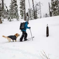 Best Pirce 🎁 Ruffwear 🐶 Dog 🧥 Coats, Packs & PFDs Cloud Chaser 🐶 Dog Softshell Jacket ⌛ -Dog Packs & Accessories Sales OBSBLA D6