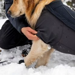 Best Pirce 🎁 Ruffwear 🐶 Dog 🧥 Coats, Packs & PFDs Cloud Chaser 🐶 Dog Softshell Jacket ⌛ -Dog Packs & Accessories Sales OBSBLA D7