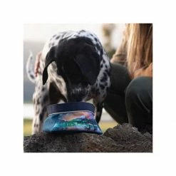 Best reviews of 😉 Ruffwear 🐶 Dog Toys & Accessories Artist Series Quencher Bowl 👍 -Dog Packs & Accessories Sales SPALAK D1