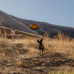 Cheapest ❤️ Ruffwear 🐶 Dog Toys & Accessories Hover Craft 🐶 Dog Toy 😉 -Dog Packs & Accessories Sales WAVORA D6