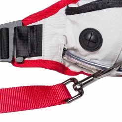 Coupon 🌟 Nathan Leashes, Harnesses & Collars Run Companion Runner's Waist Pack + Leash ✨ -Dog Packs & Accessories Sales X001 D5