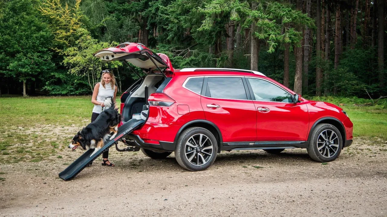 Dog Packs & Accessories Sales -Dog Packs & Accessories Sales 4